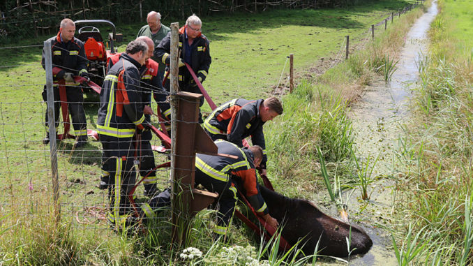 210717paard te water waterhuizen001